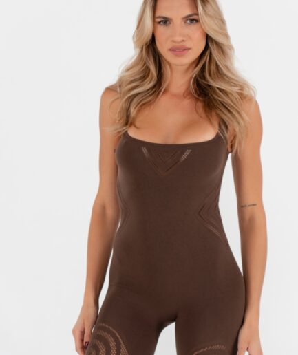 CUORE (Brown)